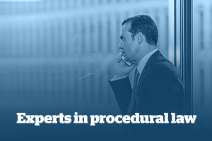 Experts in procedural law